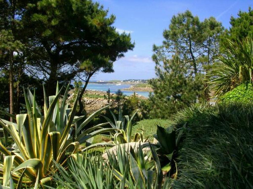 131 Ile de Batz Jardin Georges Delaselle_000011.jpg